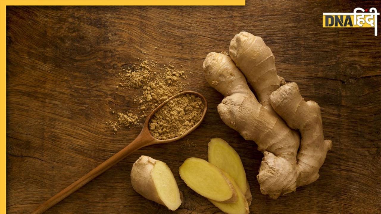 Ginger Benefits In Winter: सर्दियों में अदरक खाने पास भी नहीं आएंगी ये 5 बीमारियां, इस तरह खाने से मिलेगा फायदा