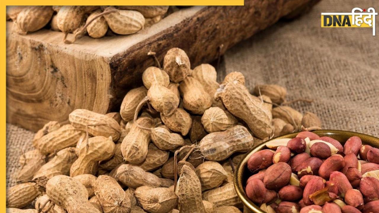 Peanut Side Effects: स्वाद और सेहत के लिए फायदेमंद मूंगफली इन 5 लोगों को पहुंचा सकती है नुकसान, भूलकर भी न खाएं