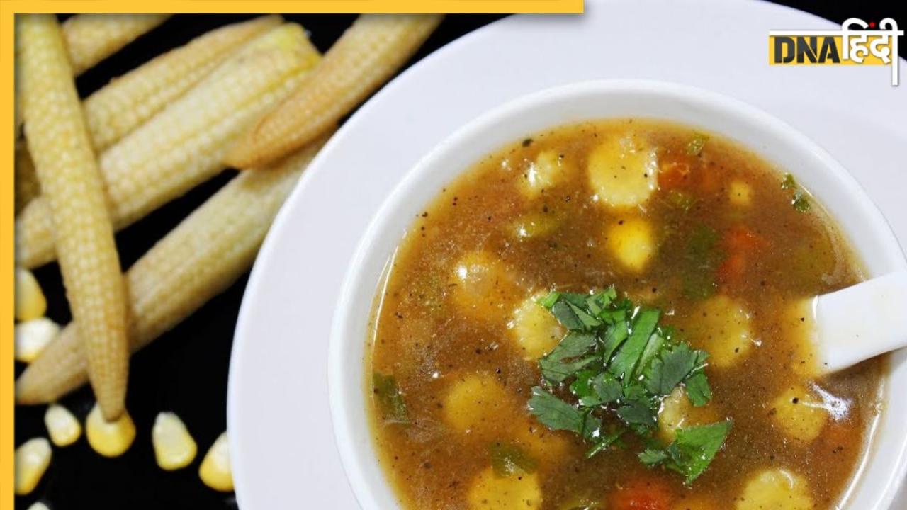 Veg Soups For Winter: सर्दियों में हेल्दी और गर्म रहेगा शरीर, इन 4 वेज सूप को को करें ट्राई