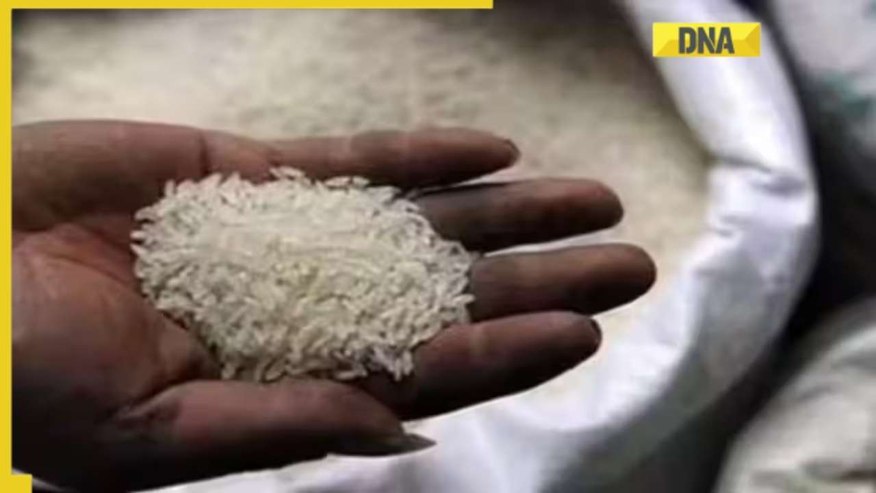India allows export of non-basmati rice to another 5 countries