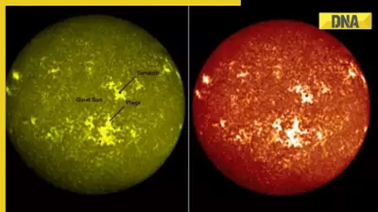 ISRO's Aditya-L1 captures full-disk images of Sun; See first pictures