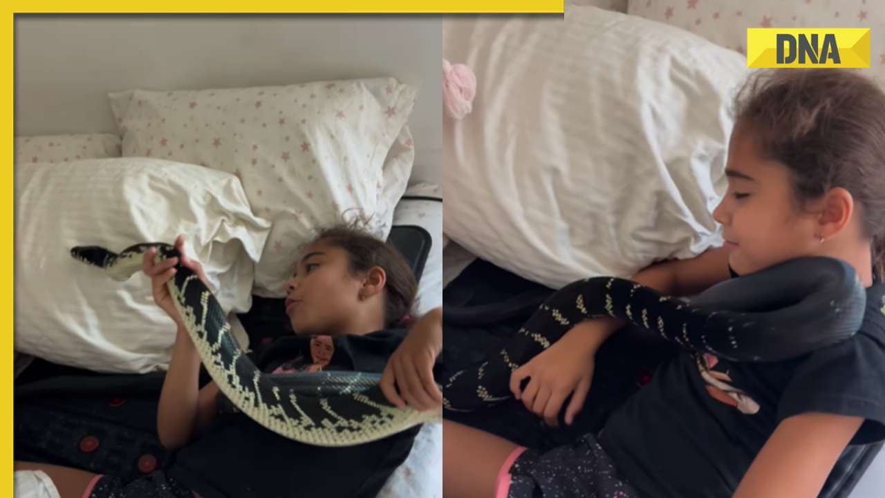Little girl wakes up next to massive snake, viral video shocks internet