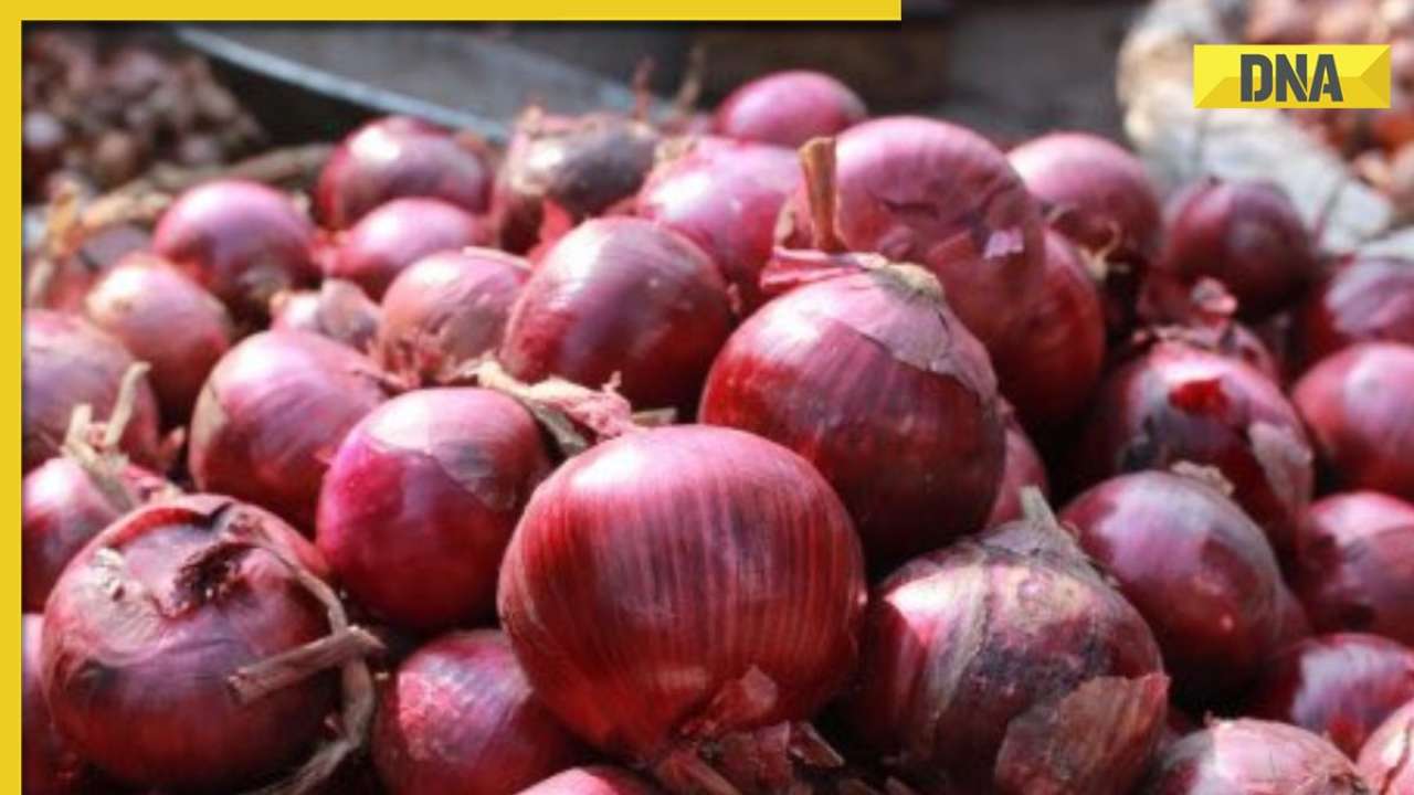 Centre bans onion exports till March 2024