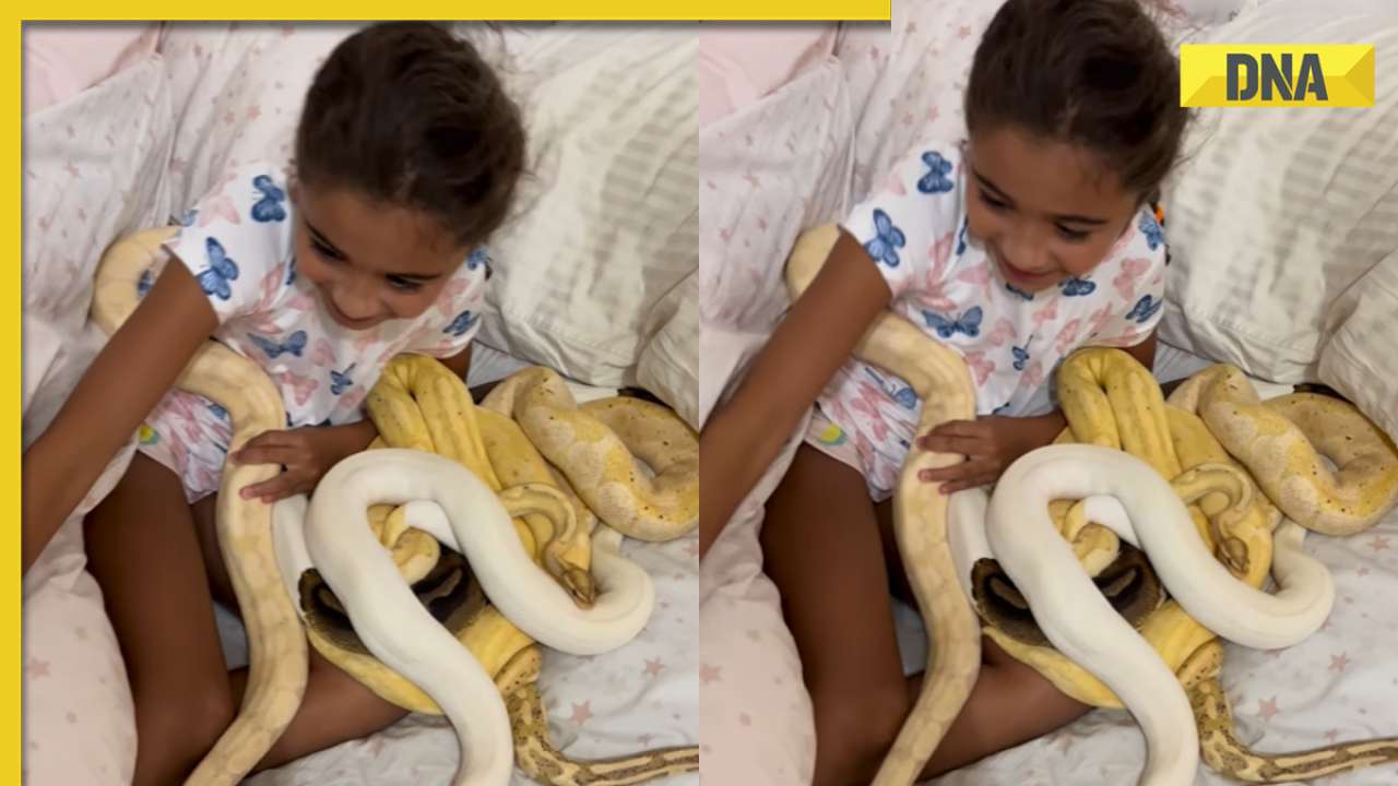 Little girl stuns internet by fearlessly handling dozens of snakes, video goes viral