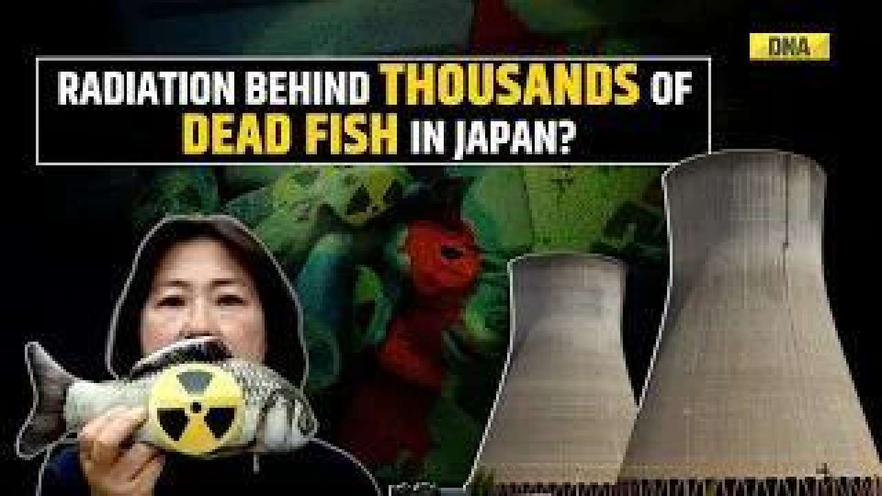 Thousands of dead fish mysteriously wash up on Japan beach, revive Fukushima conspiracy!