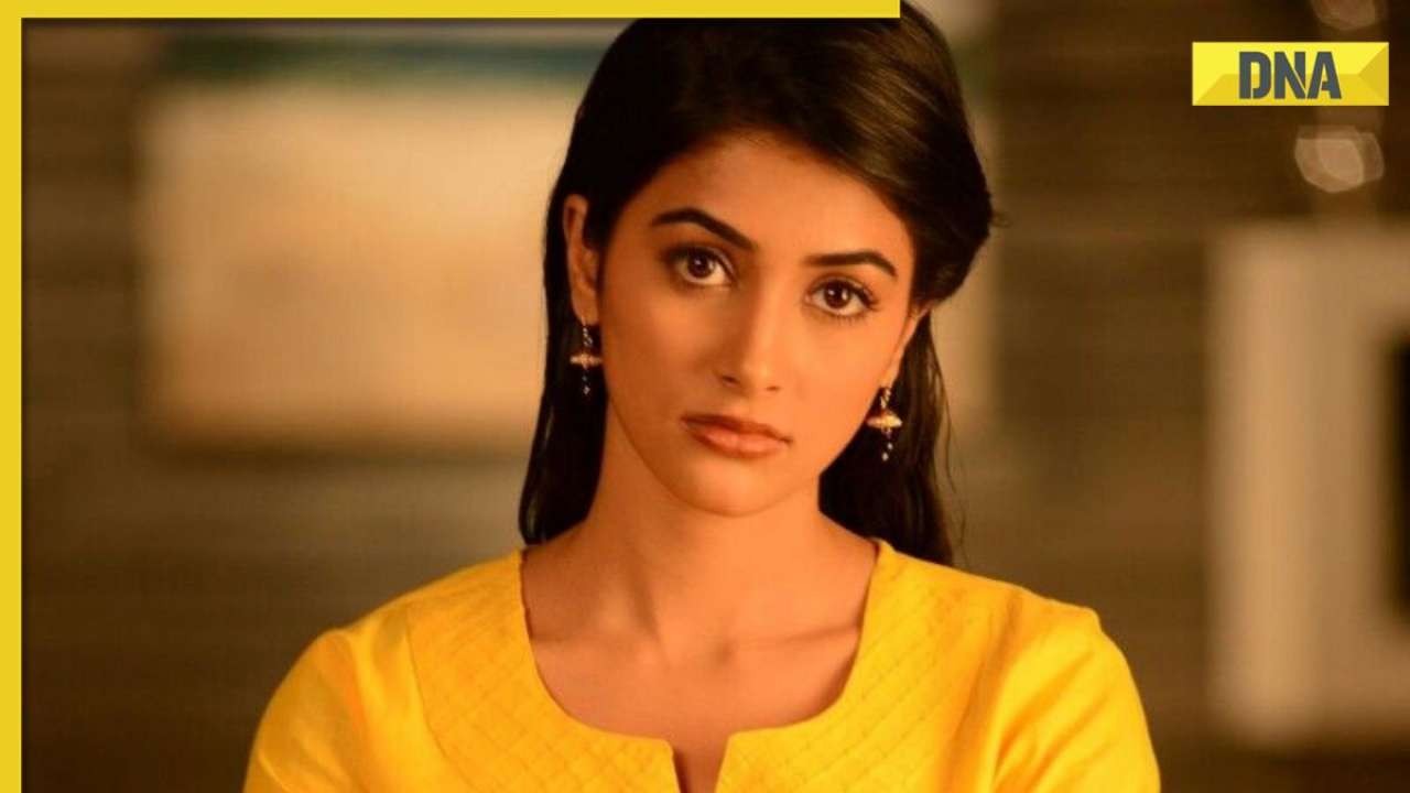 DNA Verified: Did Pooja Hegde receive death threat after argument in Dubai? Here's what we know