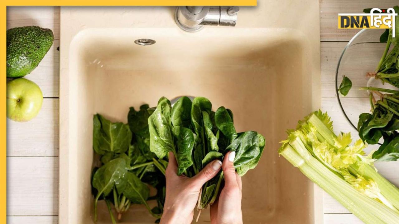Green Leafy Vegetables को ताजा और फ्रेश रखने के लिए ये तरीका है बेस्ट, जरा भी नहीं होगी खराब
