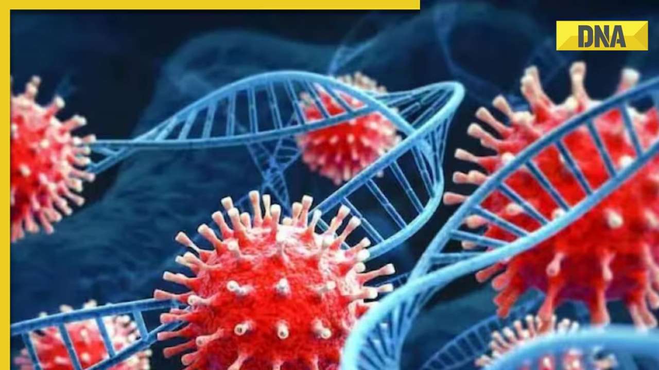 New COVID-19 subvariant JN.1 case detected in Kerala: What are the ...