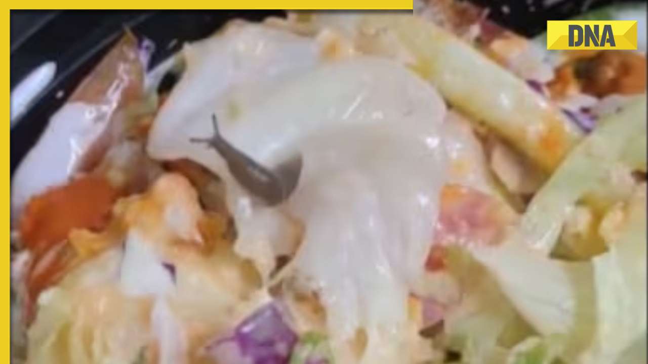 Viral video: Bengaluru man finds live snail in salad ordered via Swiggy, company responds