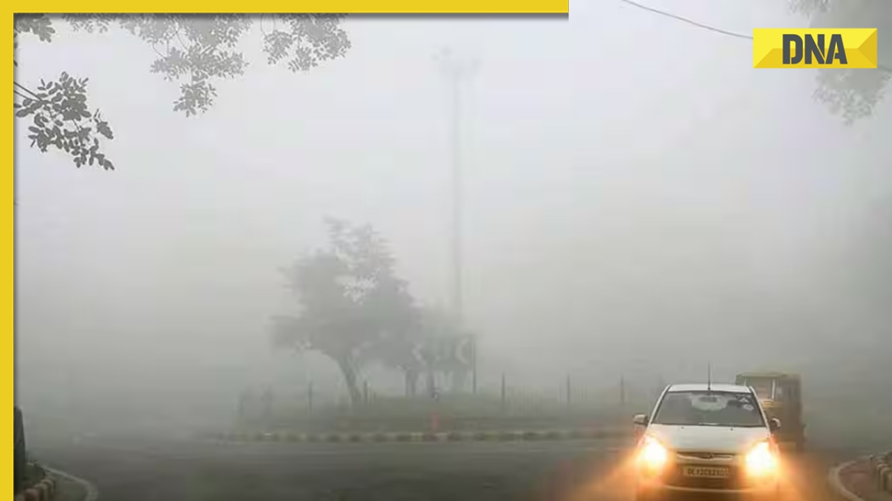 Weather update: IMD predicts dense fog for several states; check latest forecast here