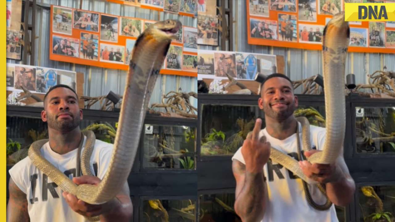  Viral video shows fearless man posing with giant king cobra, internet is scared