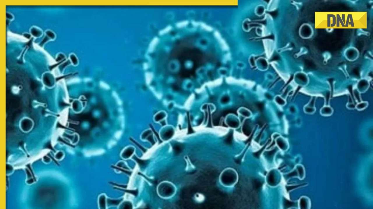 Year Ender 2023: 4 Infectious diseases that made news this year