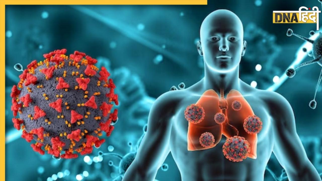 Lungs Cancer Causes: सिगरेट का धुआं ही नहीं, इन 3 कारणों से भी हो सकता है फेफड़ों का कैंसर