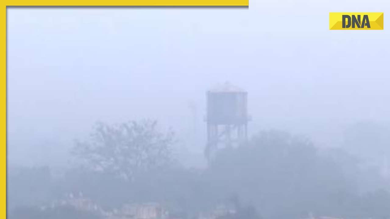 Delhi: Dense fog envelopes city, reducing visibility