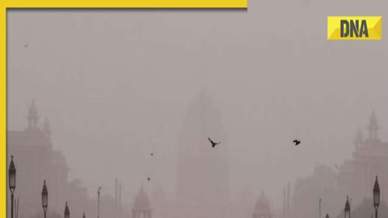 Delhi-NCR cold wave: Air quality remains in 'severe' category, thick fog engulfs region