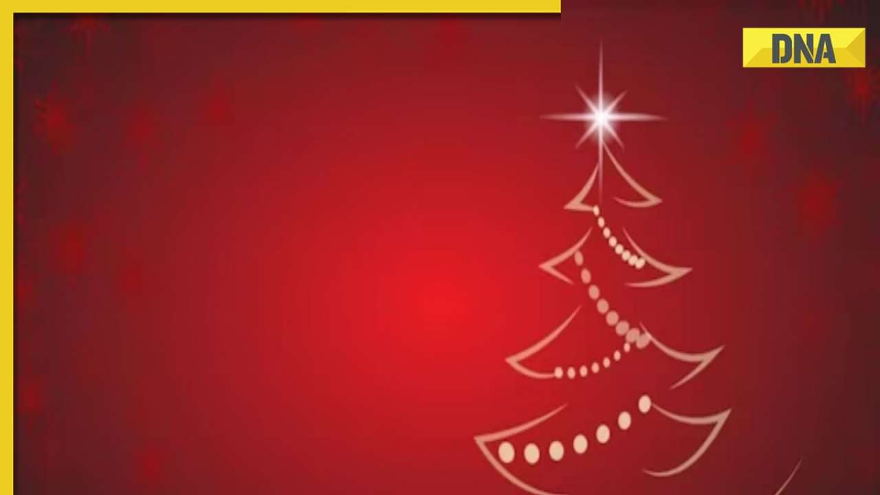 Merry Christmas 2023: Top 20 wishes, quotes, greetings to share on December 25