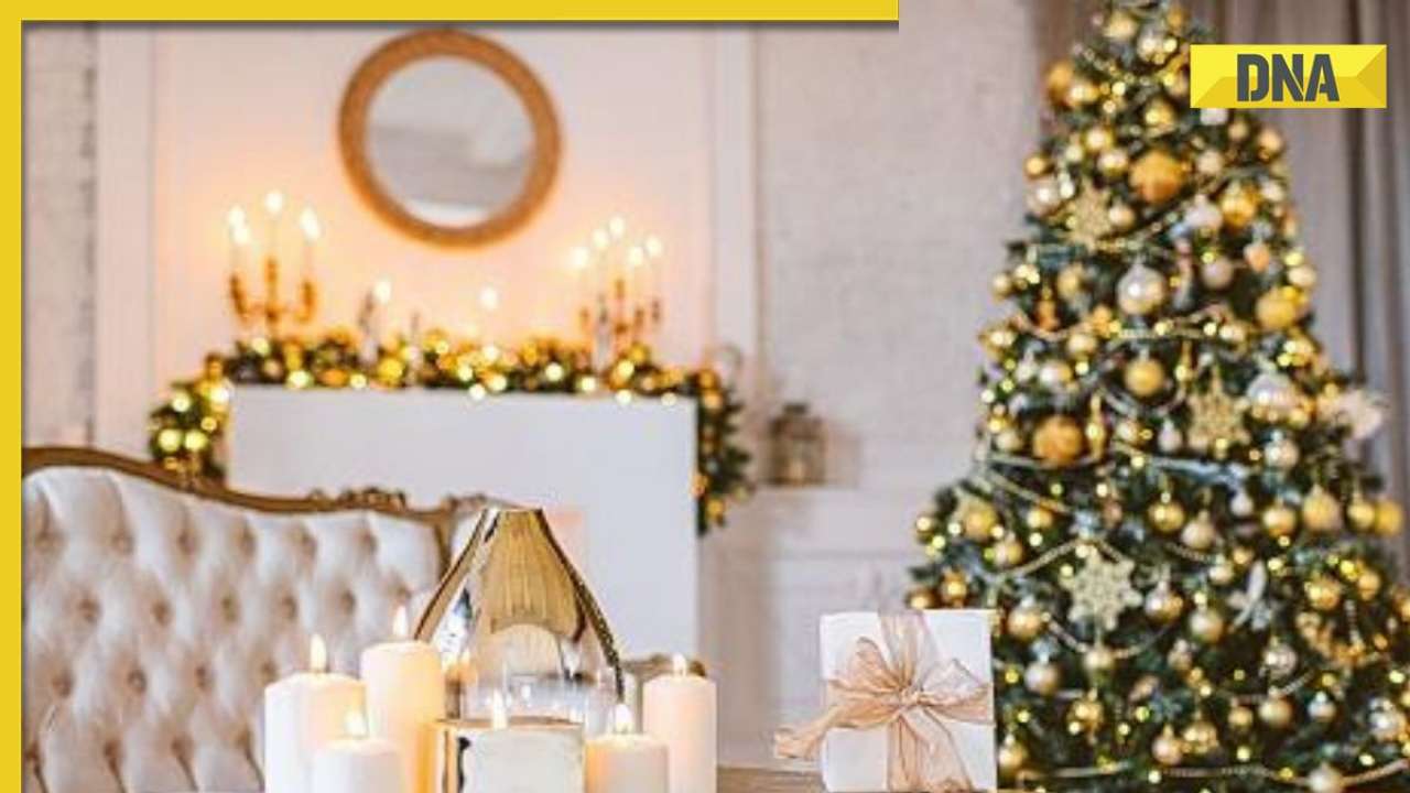 Merry Christmas 2023: Last-minute decoration ideas for hosting a house party