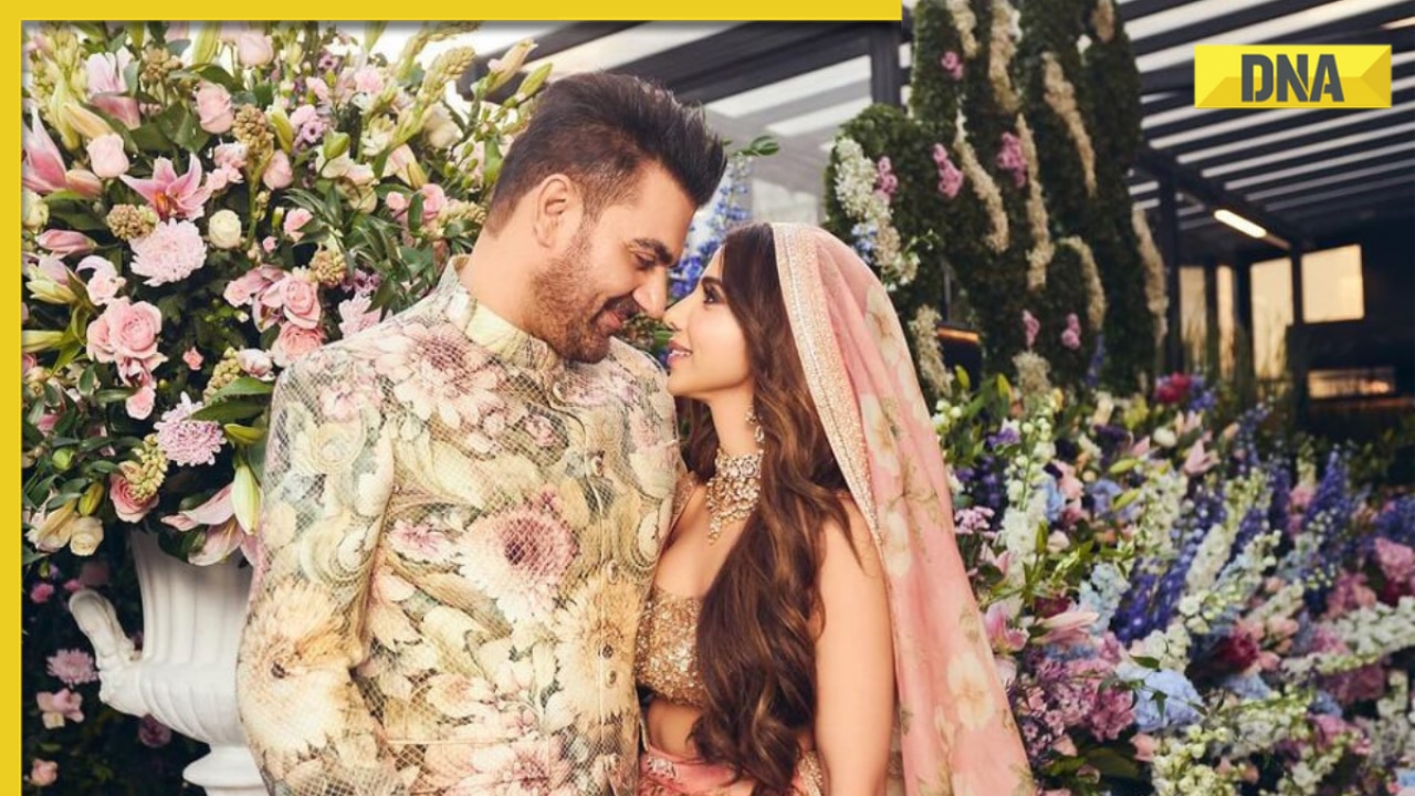 Newlyweds Arbaaz Khan, Sshura Khan share first photos from dreamy wedding: 'A lifetime of love and togetherness...'