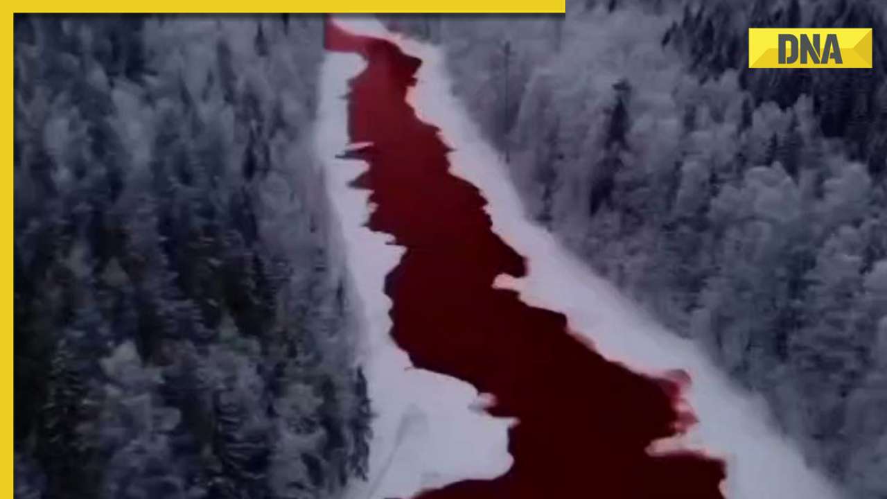 Russia's Iskitimka river turns beetroot red, here's why