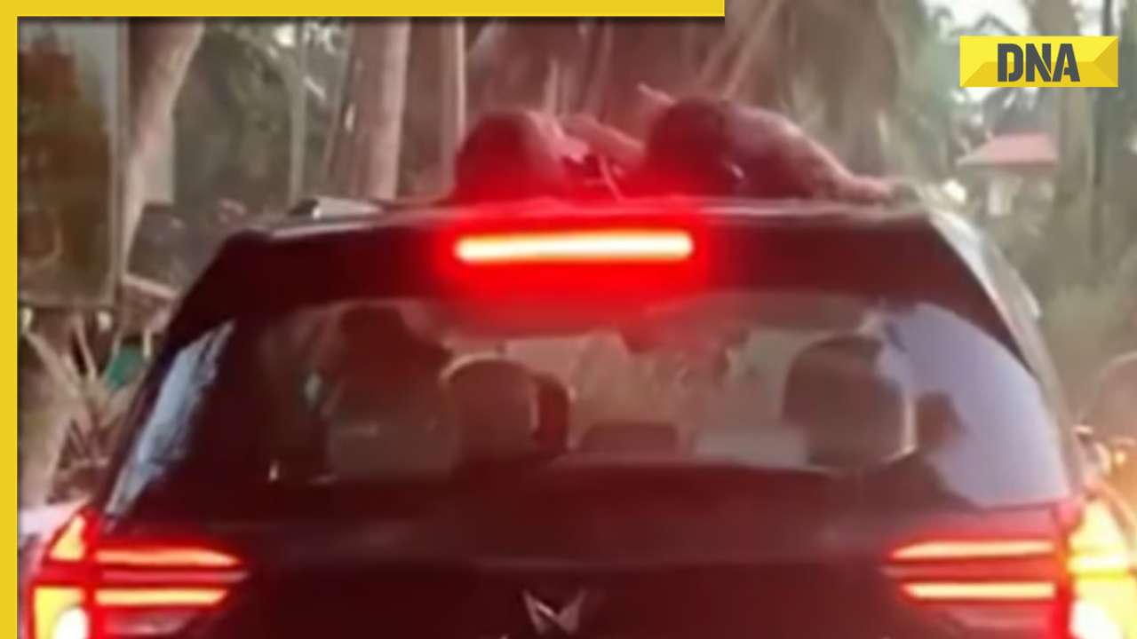 Goa: Outrage sparks as viral video shows children sleeping on top of moving SUV, watch