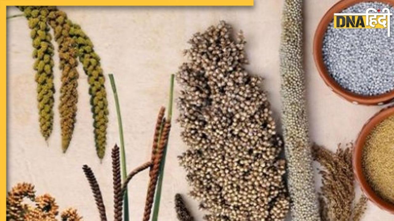 Millets For Winter: सर्दियों में सेहत को दुरुस्त रखेंगे ये 4 मोटे अनाज, शरीर को गर्म रखने में भी करेंगे मदद