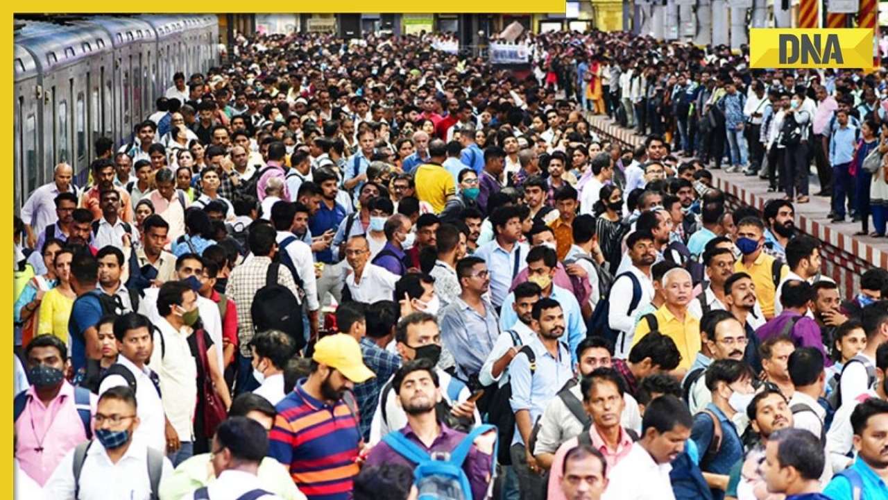 World population up 75 million this year, topping 8 billion by Jan 1