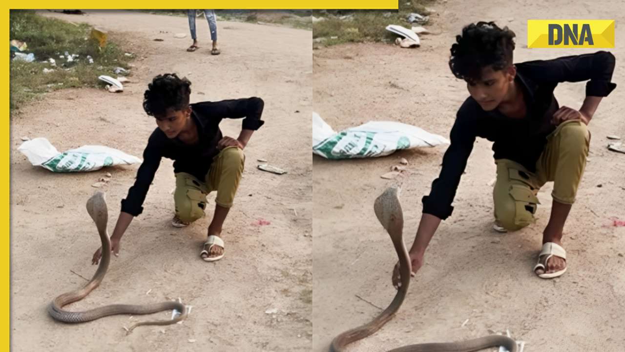 Viral video: Brave man defies death by touching king cobra with bare hands, watch