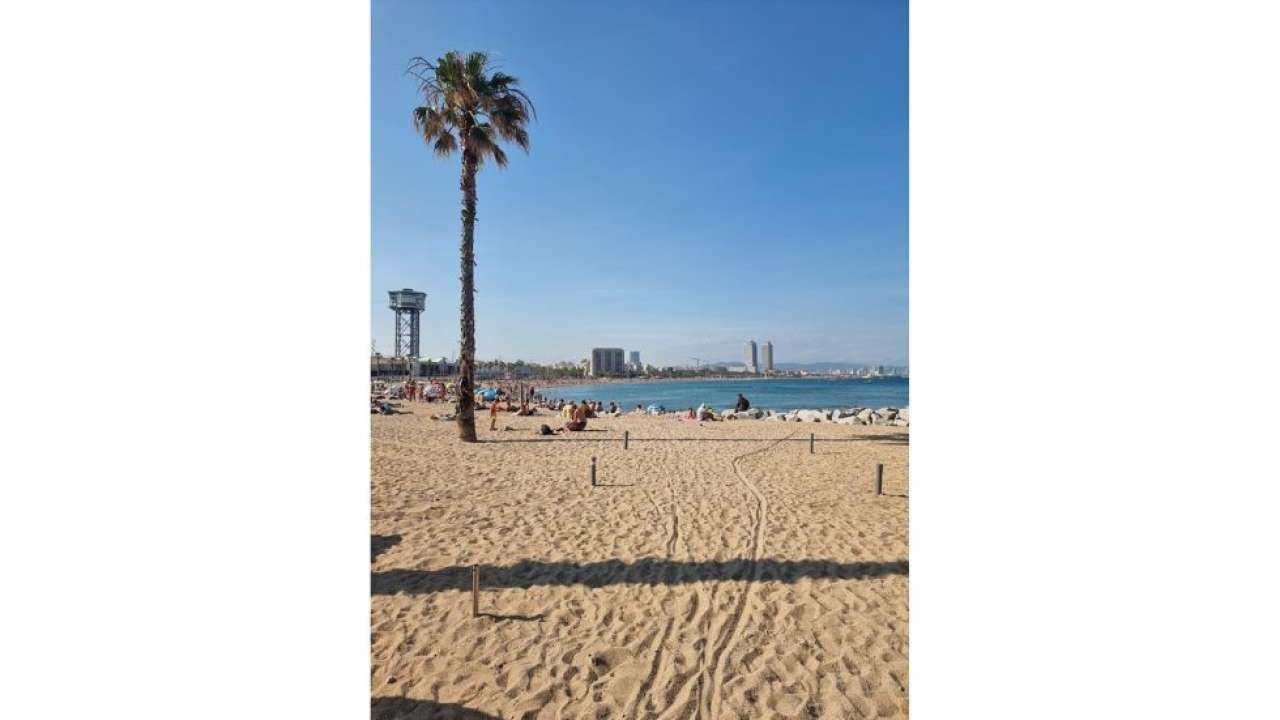 Easily Get a Digital Nomad Visa for Spain with DigitalNomadVisa.io