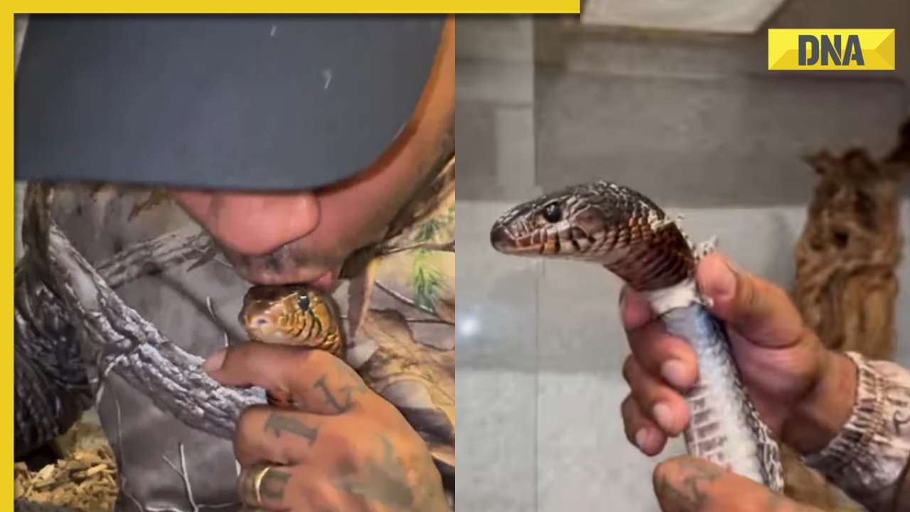 Man kisses and helps snake shed its skin, viral video leaves internet divided