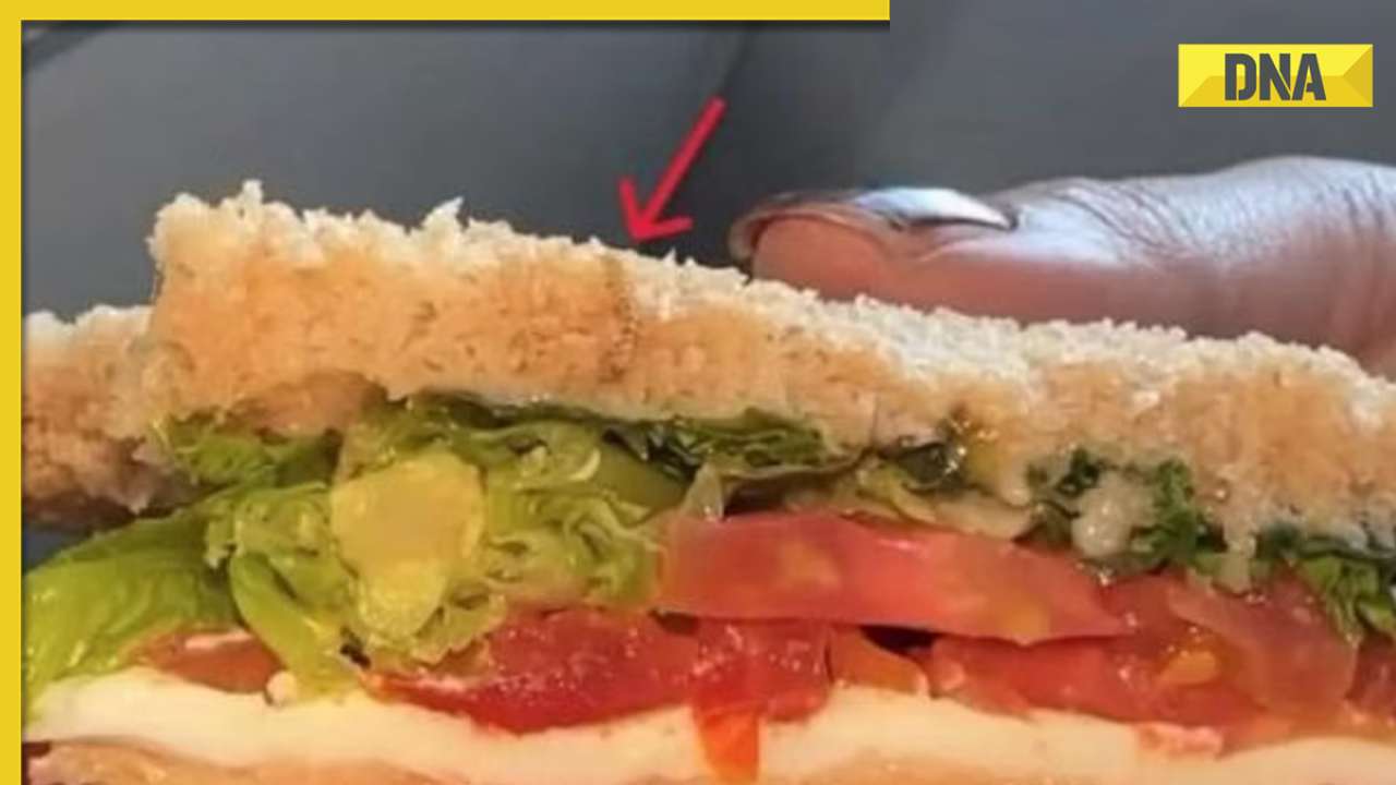 Viral video: Indigo passenger finds worm in sandwich, airline responds