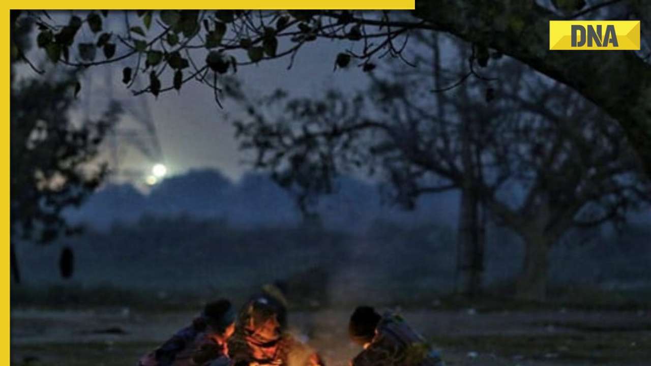 Weather update: 'Cold day' warning issued for five states during next 3-4 days; check IMD forecast here