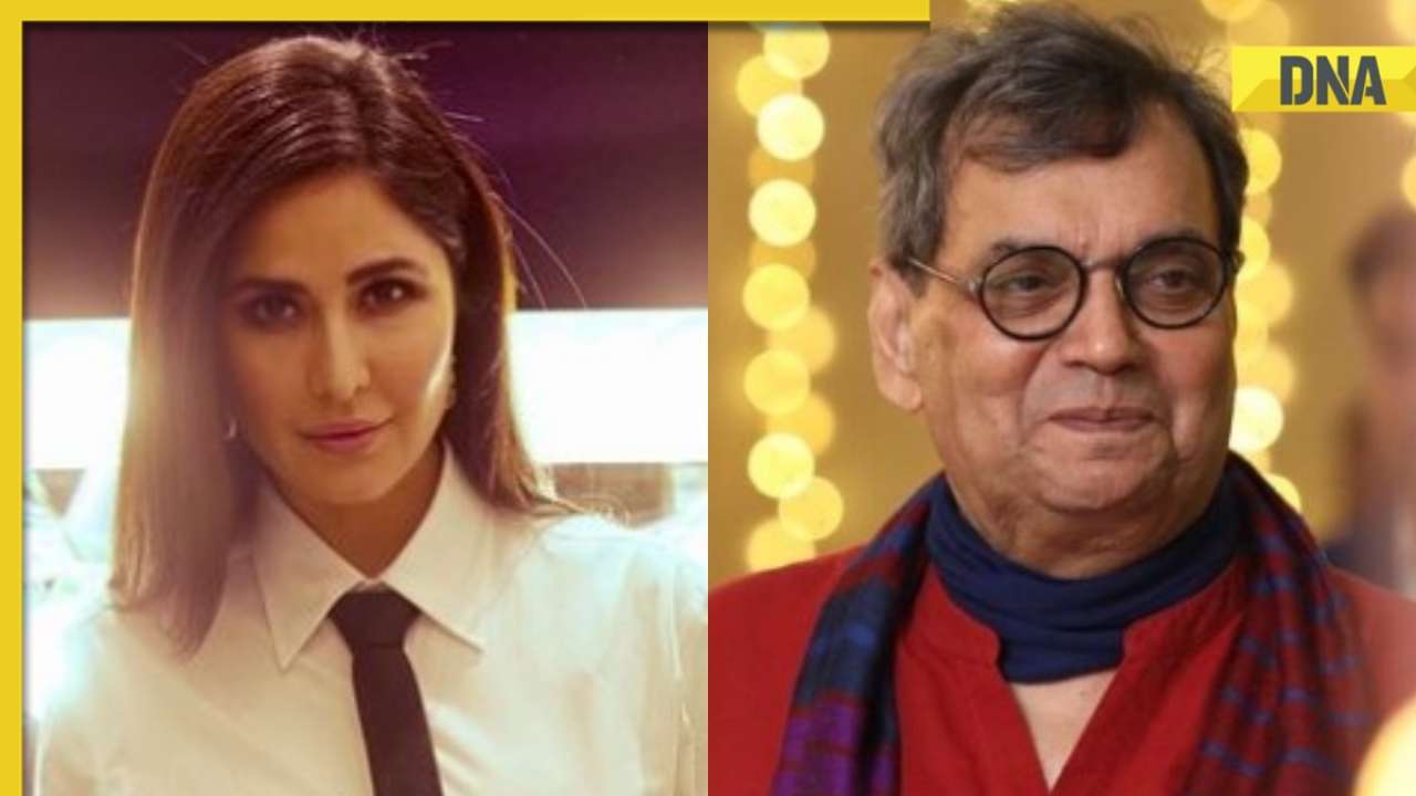 From Katrina Kaif to Subhash Ghai, Bollywood celebs extend New Year wishes to fans