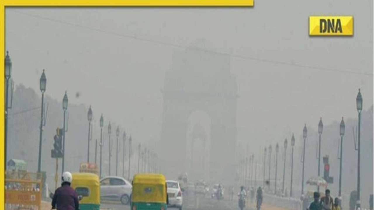 Delhi NCR starts new year with thick layer of fog, check latest IMD update