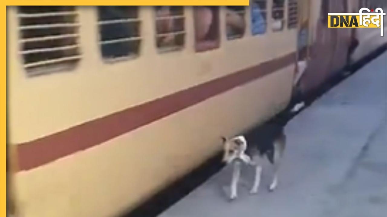 इस कुत्ते को रेलवे में नौकरी देने की मांग, जानिए ऐसा क्या करता है