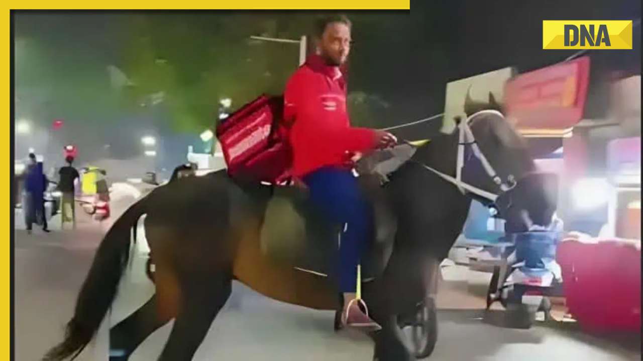 Viral video: Zomato agent rides horse to deliver food amid long queues at petrol pumps