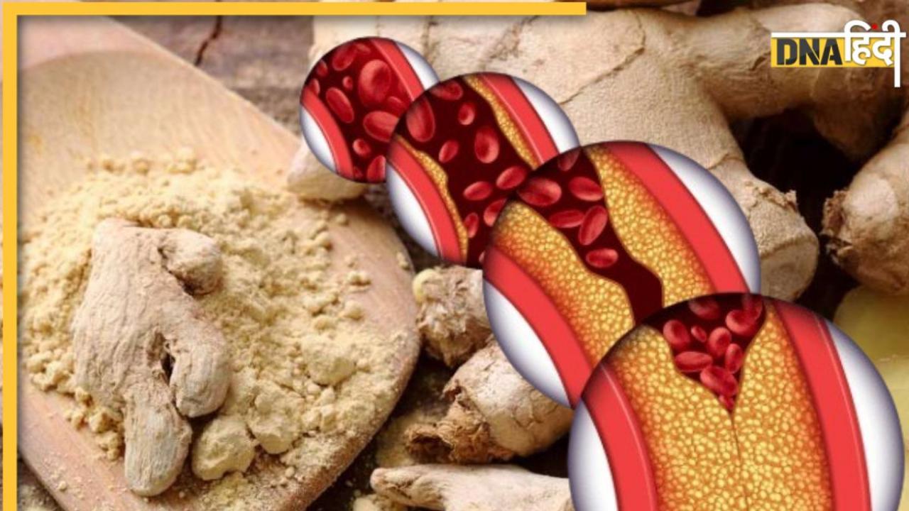 Ginger For Cholesterol: बैड कोलेस्ट्रॉल की छुट्टी कर देगा अदरक, इन 5 तरह से करें सेवन
