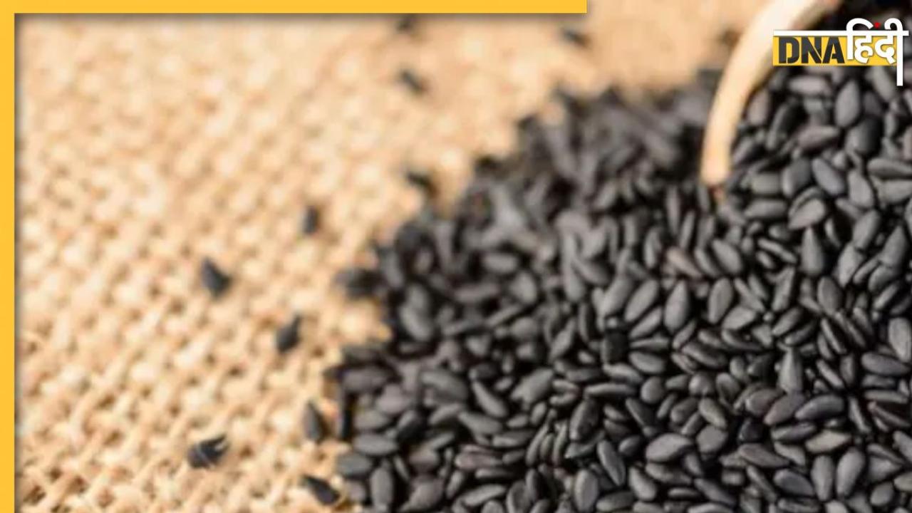 Black Sesame Benefits: ब्लड प्रेशर के लिए रामबाण साबित होते हैं काले तिल, सर्दियों में खाने से मिलते हैं ये 5 फायदे