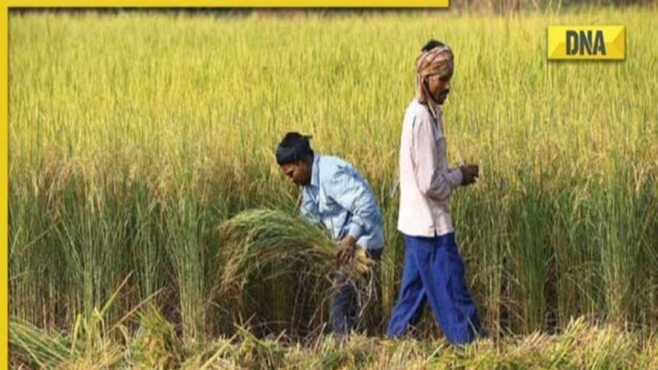 PM Kisan Samman Nidhi Yojana: Installment amount likely to be hiked for farmers, check latest update