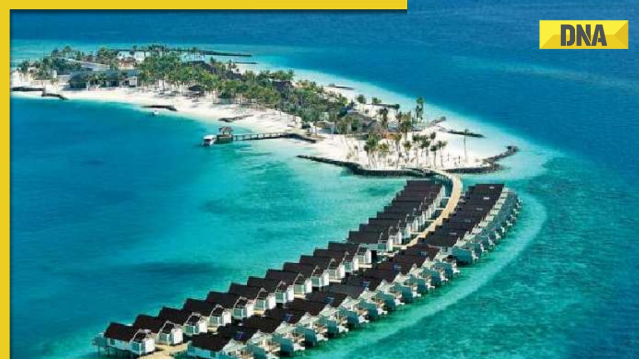 'India has always been...': Maldives tourism body reacts to derogatory comments against PM Modi