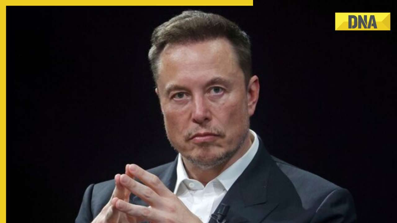 Elon Musk changes X bio, declares himself 'Chief Troll Officer'