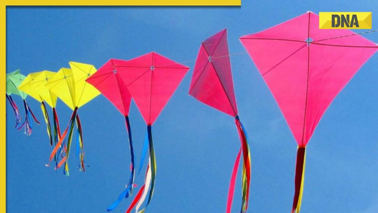 Uttarayan 2024: Date, history, significance, celebration of kite flying festival