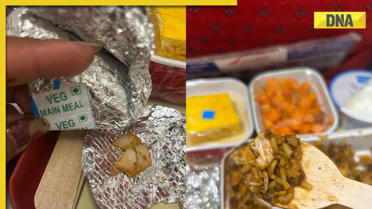 Passenger receives non-vegetarian meal despite ordering veg; Air India responds