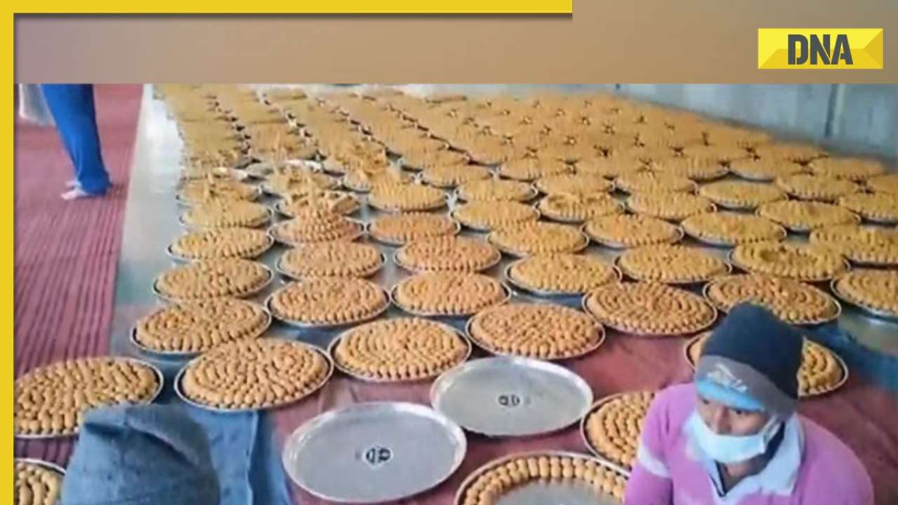 UP: Confectioners from Varanasi, Gujarat in Ayodhya to make 45 tonnes of laddus for 'Pran Pratishtha' ceremony