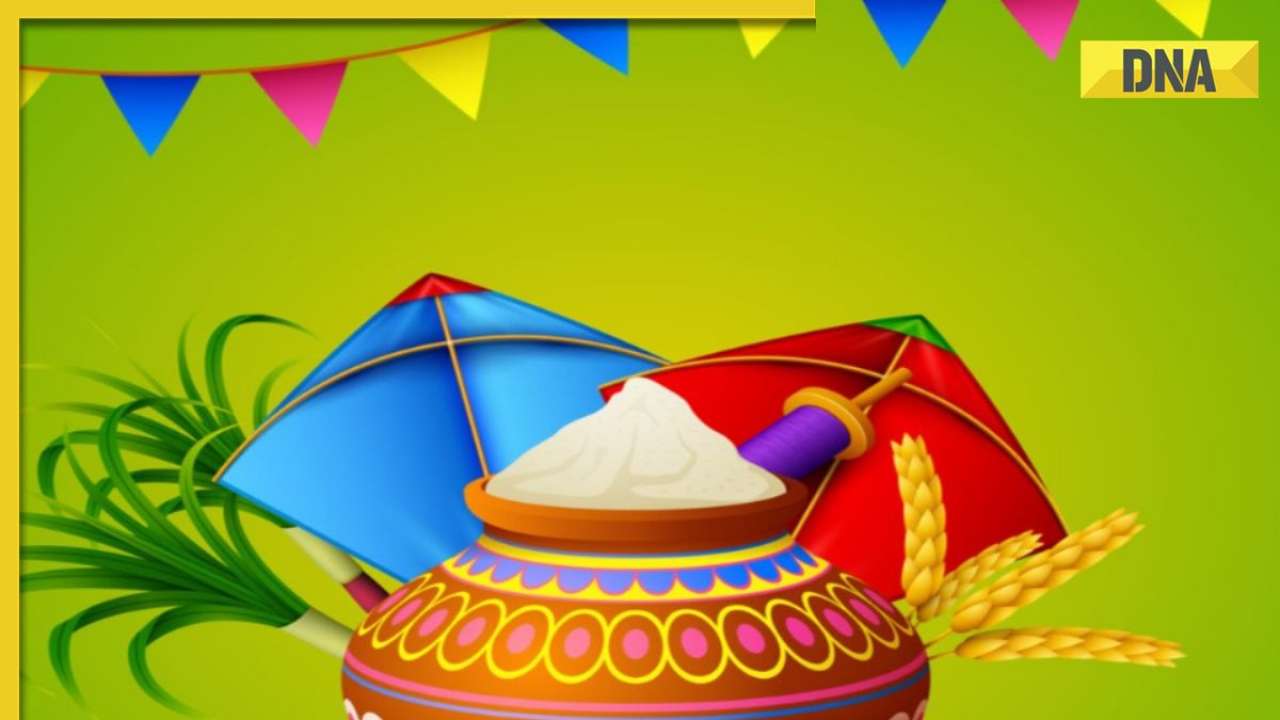 Makar Sankranti 2024: How is this festival celebrated in different states of India?