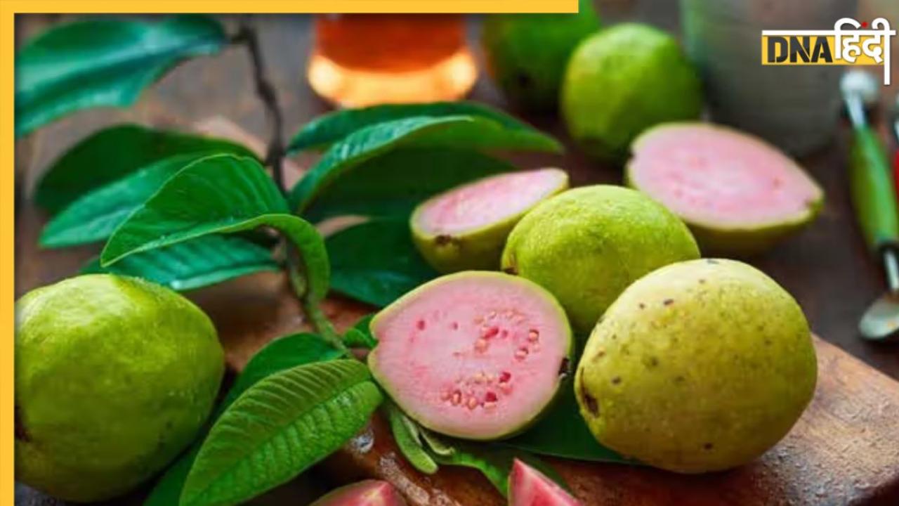 Guava Benefits: सर्दियों में अमरूद खाने के 5 बड़े फायदे, इम्यूनिटी से लेकर पाचन तक के लिए है फायदेमंद