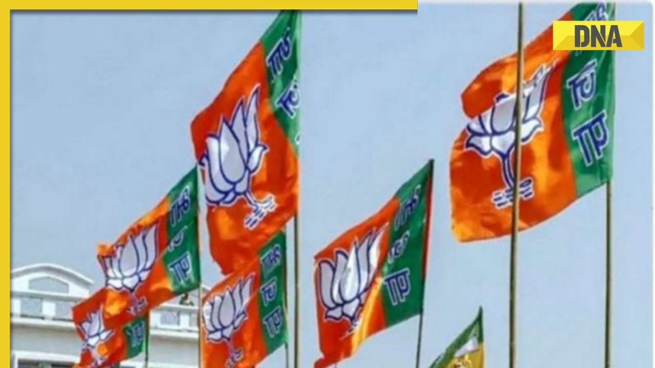 BJP wins 25 seats in Assam's North Cachar Hills Autonomous Council