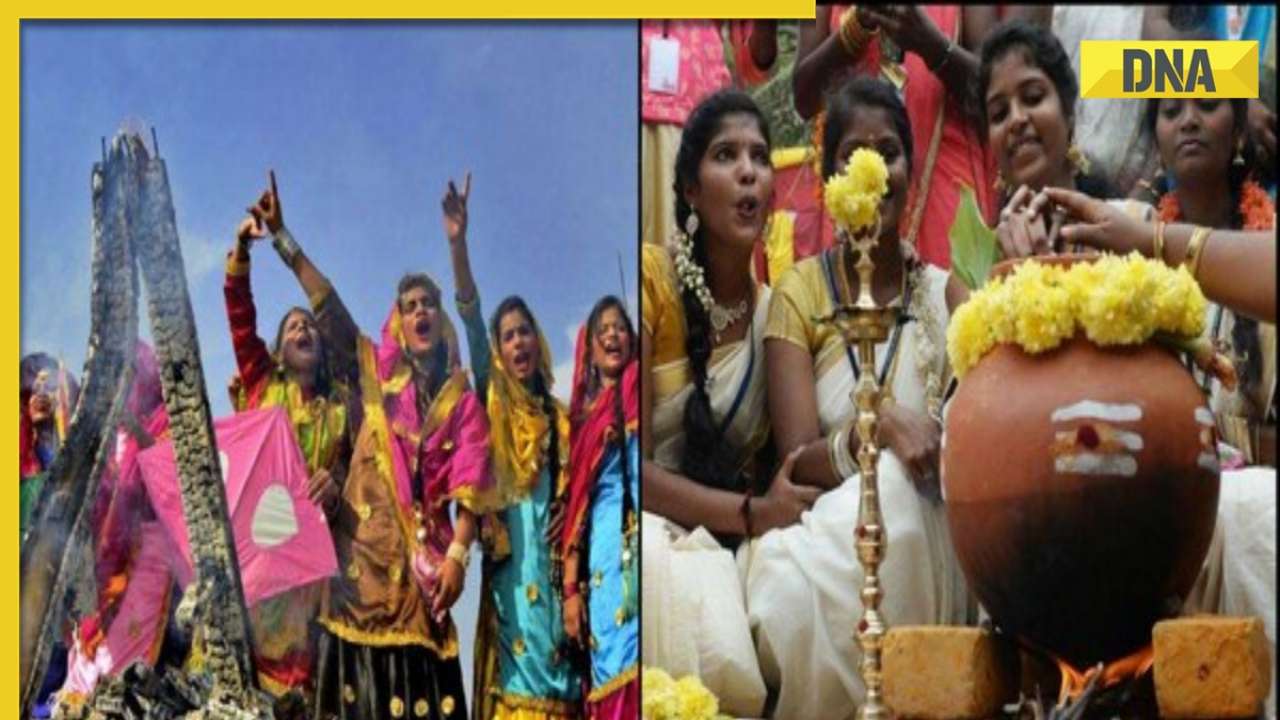 Happy Sankranti 2024: Wishes, greetings and messages for Pongal, Lohri