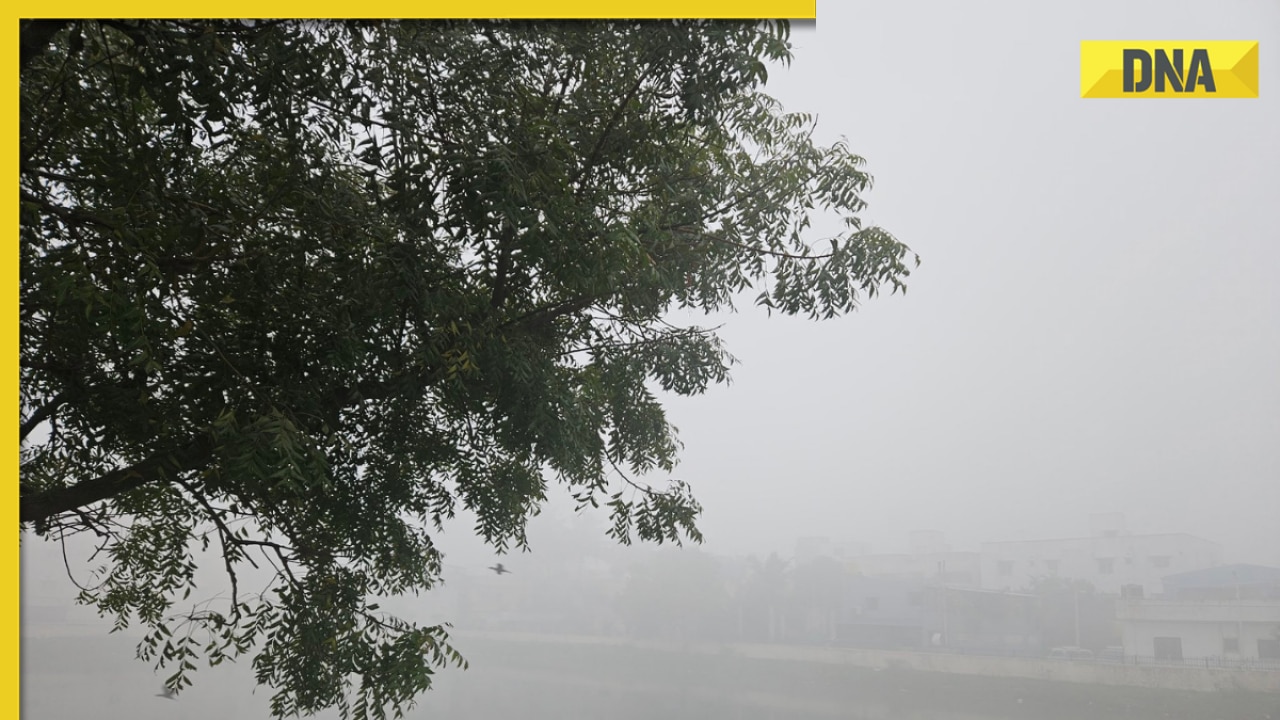 Chennai witnesses 'poor air quality' and dense smog, several flights