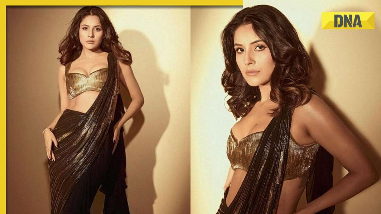 In pics: Shehnaaz Gill takes social media by storm with her dreamy look in black saree, fans call her ‘golden diva’