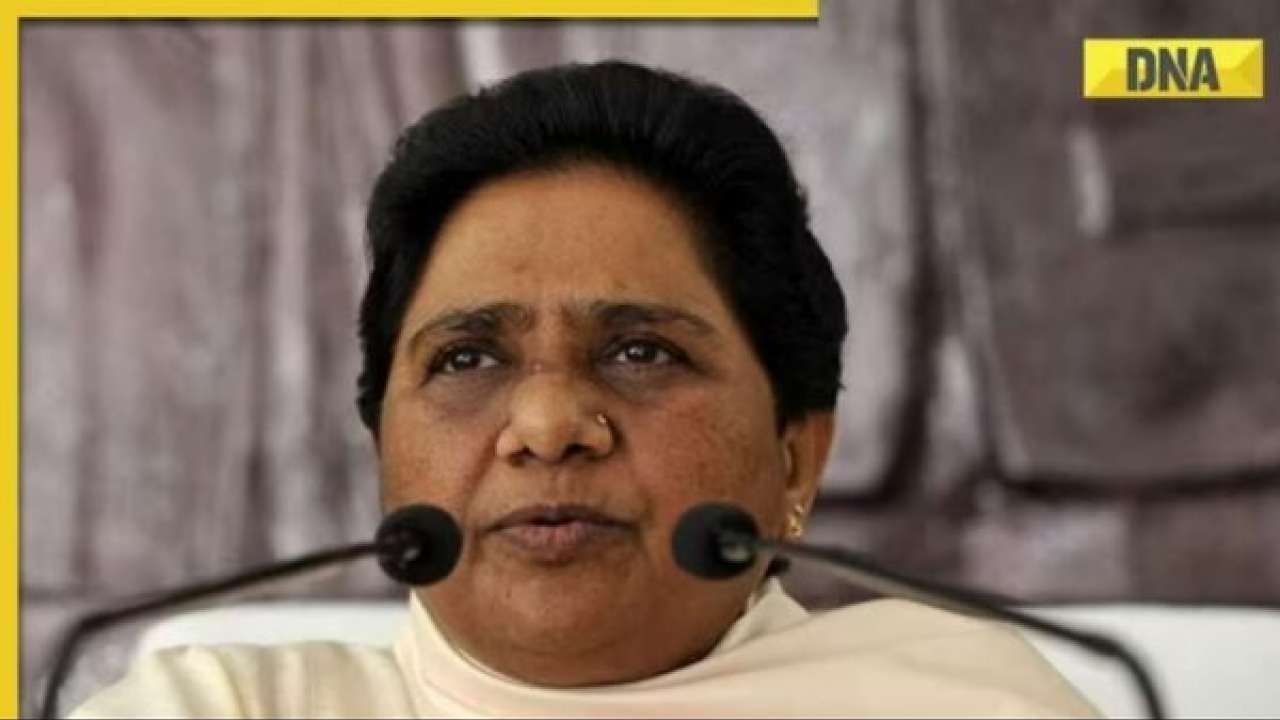 ‘we Suffer More Losses Mayawatis Bsp To Fight Lok Sabha Election 2024 Alone 0954